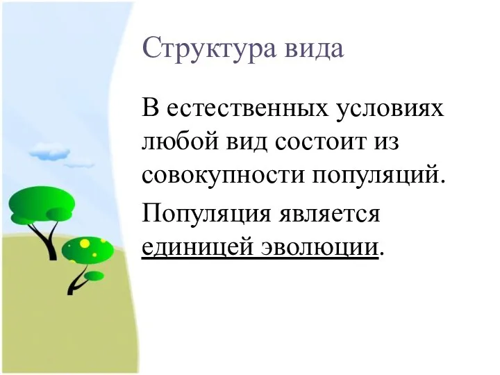 Структура вида В естественных условиях любой вид состоит из совокупности популяций. Популяция является единицей эволюции.