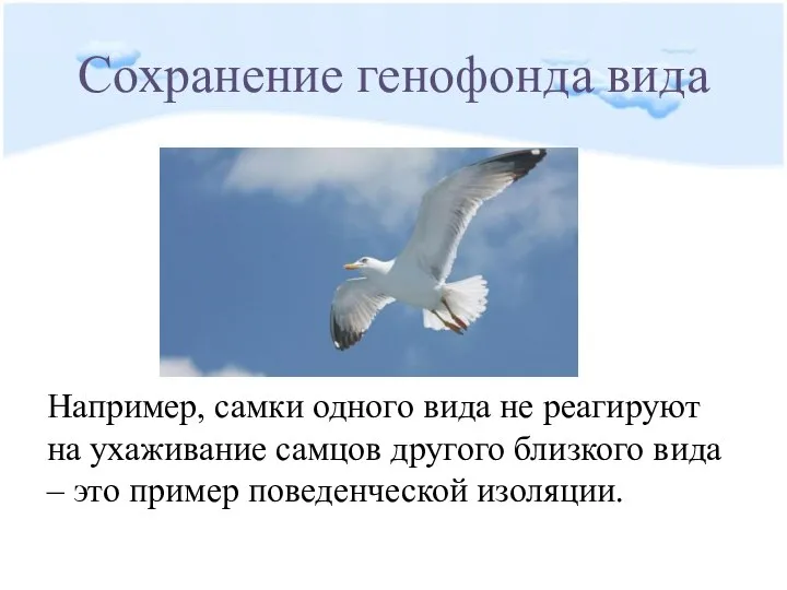 Сохранение генофонда вида Например, самки одного вида не реагируют на ухаживание