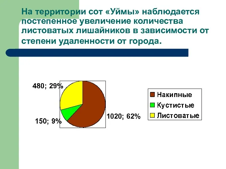 На территории сот «Уймы» наблюдается постепенное увеличение количества листоватых лишайников в