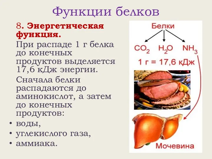 Функции белков 8. Энергетическая функция. При распаде 1 г белка до