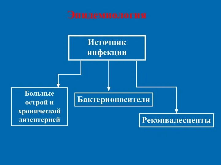 Источник инфекции Больные острой и хронической дизентерией Бактерионосители Реконвалесценты Эпидемиология