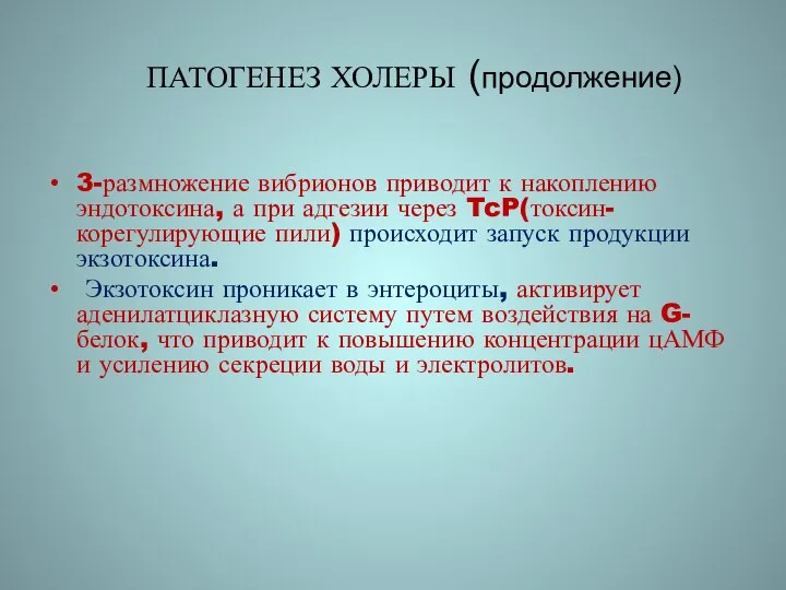 ПАТОГЕНЕЗ ХОЛЕРЫ (продолжение) 3-размножение вибрионов приводит к накоплению эндотоксина, а при