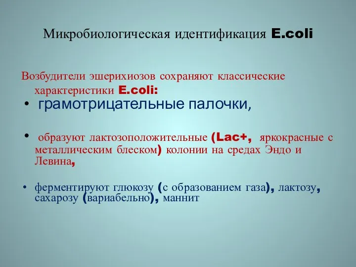 Микробиологическая идентификация E.coli Возбудители эшерихиозов сохраняют классические характеристики E.coli: грамотрицательные палочки,