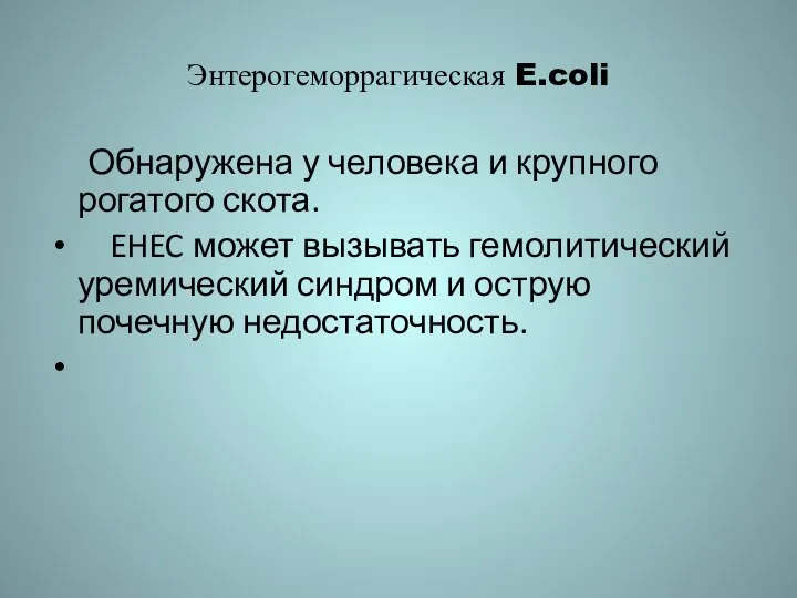 Энтерогеморрагическая E.coli Обнаружена у человека и крупного рогатого скота. EHEC может