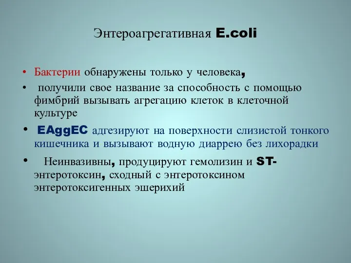 Энтероагрегативная E.coli Бактерии обнаружены только у человека, получили свое название за