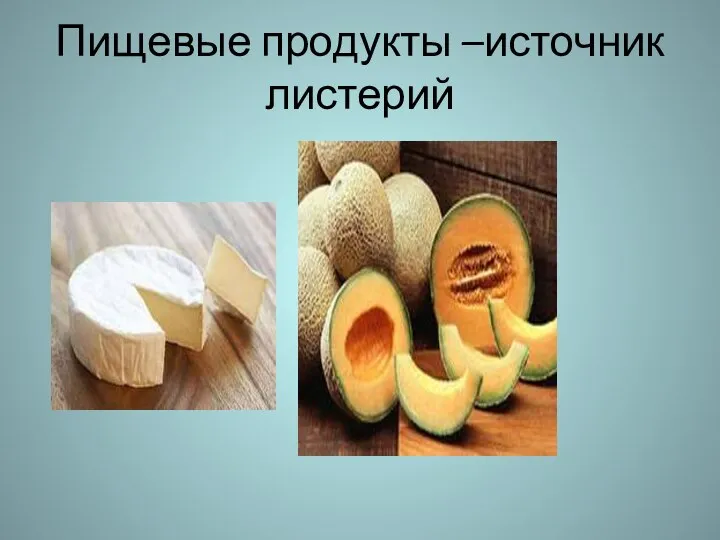 Пищевые продукты –источник листерий