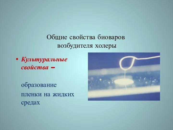 Общие свойства биоваров возбудителя холеры Культуральные свойства – образование пленки на жидких средах