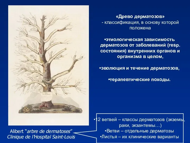 «Древо дерматозов» - классификация, в основу которой положена этиологическая зависимость дерматозов