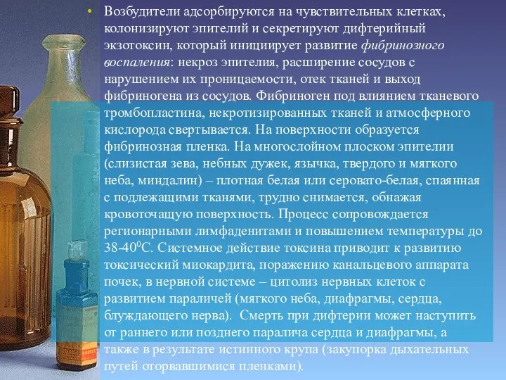 Возбудители адсорбируются на чувствительных клетках, колонизируют эпителий и секретируют дифтерийный экзотоксин,