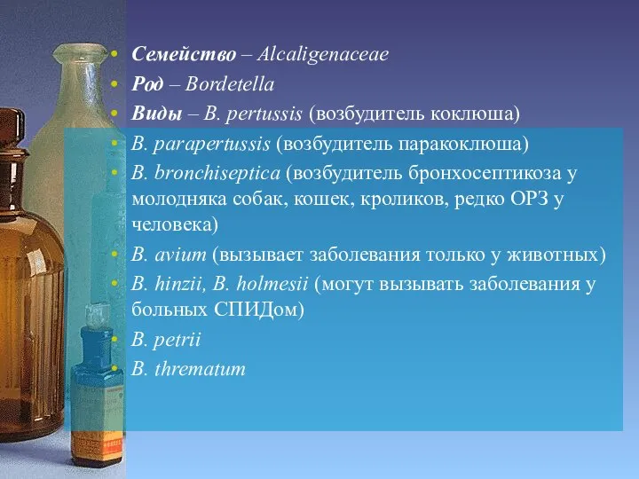 Семейство – Alcaligenaceae Род – Bordetella Виды – B. рertussis (возбудитель