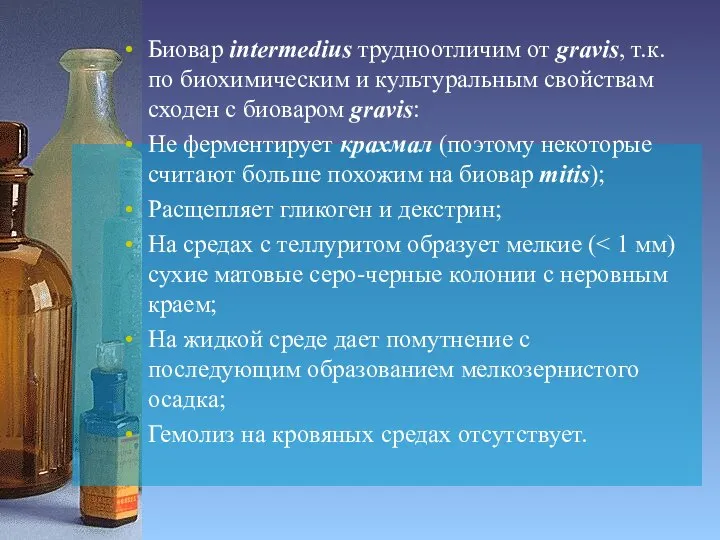 Биовар intermedius трудноотличим от gravis, т.к. по биохимическим и культуральным свойствам