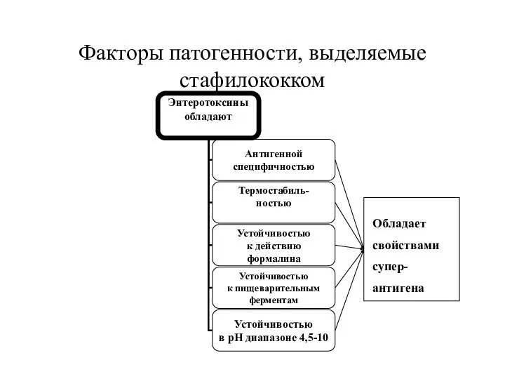 Факторы патогенности, выделяемые стафилококком Обладает свойствами супер- антигена