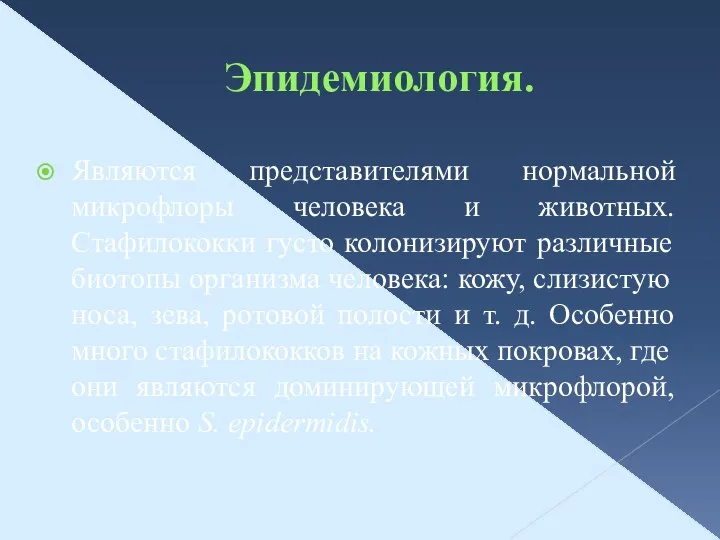 Эпидемиология. Являются представителями нормальной микрофлоры человека и животных. Стафилококки густо колонизируют