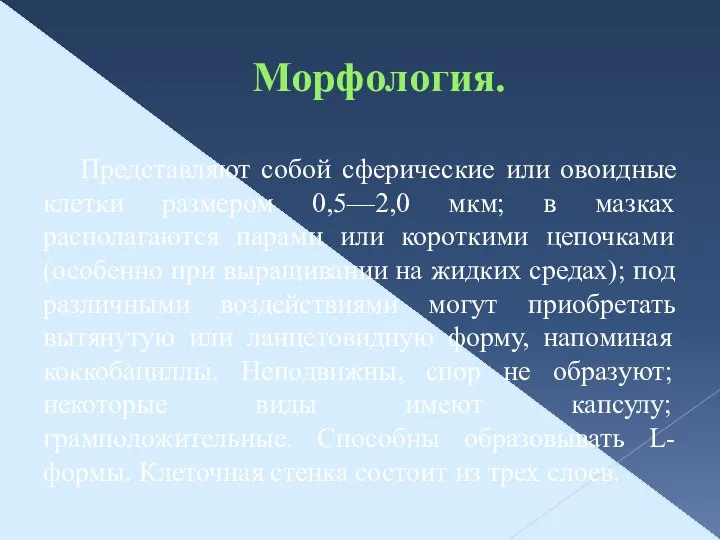 Морфология. Представляют собой сферические или овоидные клетки размером 0,5—2,0 мкм; в