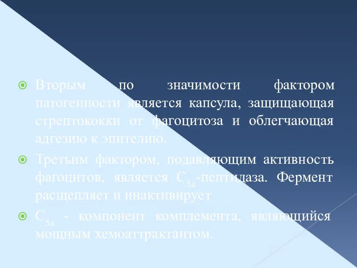 Вторым по значимости фактором патогенности является капсула, защищающая стрептококки от фагоцитоза