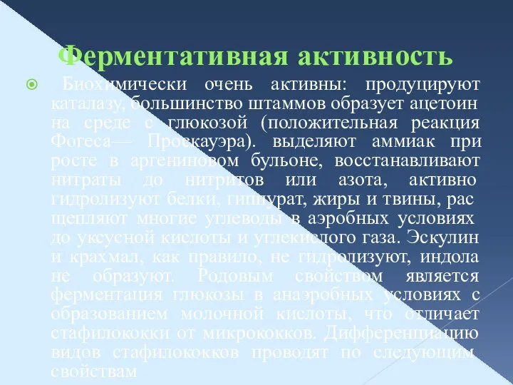 Ферментативная активность Биохимически очень активны: продуцируют каталазу, боль­шинство штаммов образует ацетоин