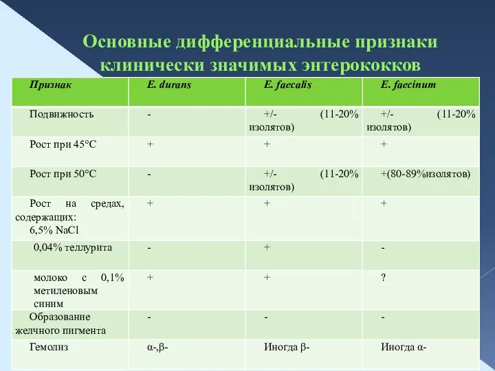 Основные дифференциальные признаки клинически значимых энтерококков