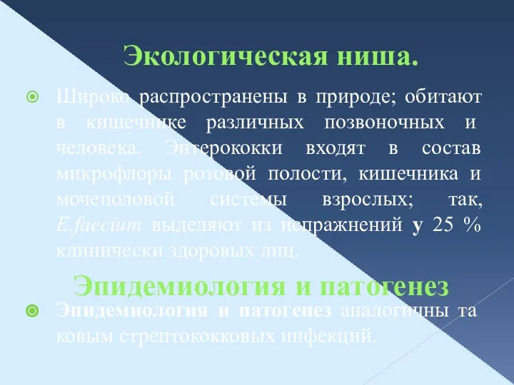 Экологическая ниша. Широко распространены в природе; обитают в кишечнике различ­ных позвоночных