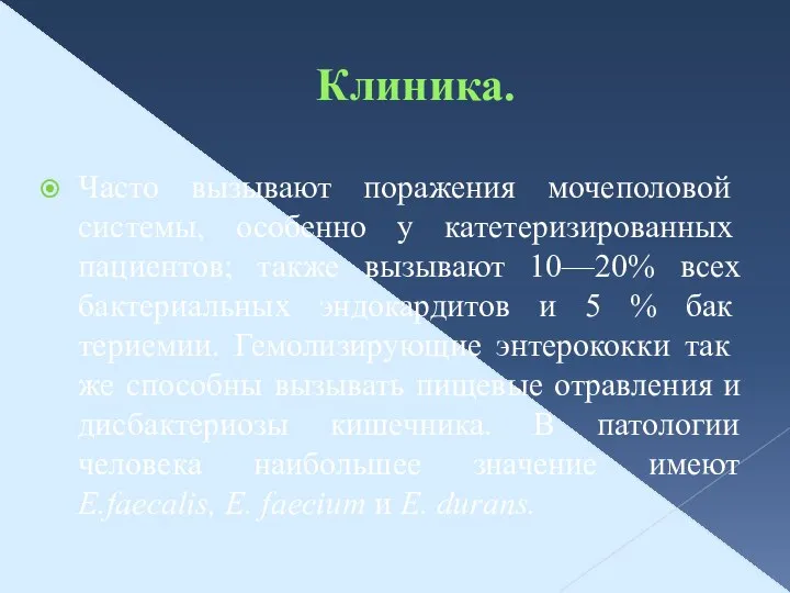 Клиника. Часто вызывают поражения моче­половой системы, особенно у катетеризиро­ванных пациентов; также