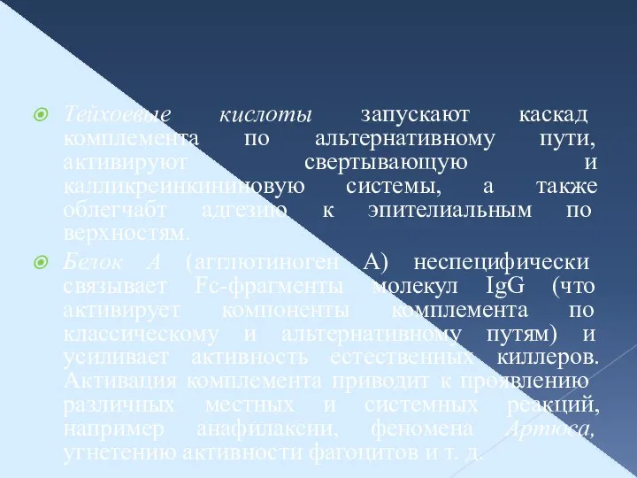 Тейхоевые кислоты запускают каскад комплемента по альтернативному пути, активируют свертывающую и