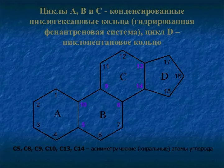 Циклы A, B и C - конденсированные циклогексановые кольца (гидрированная фенантреновая