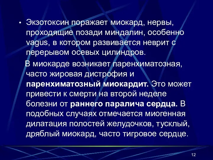 Экзотоксин поражает миокард, нервы, проходящие позади миндалин, особенно vagus, в котором