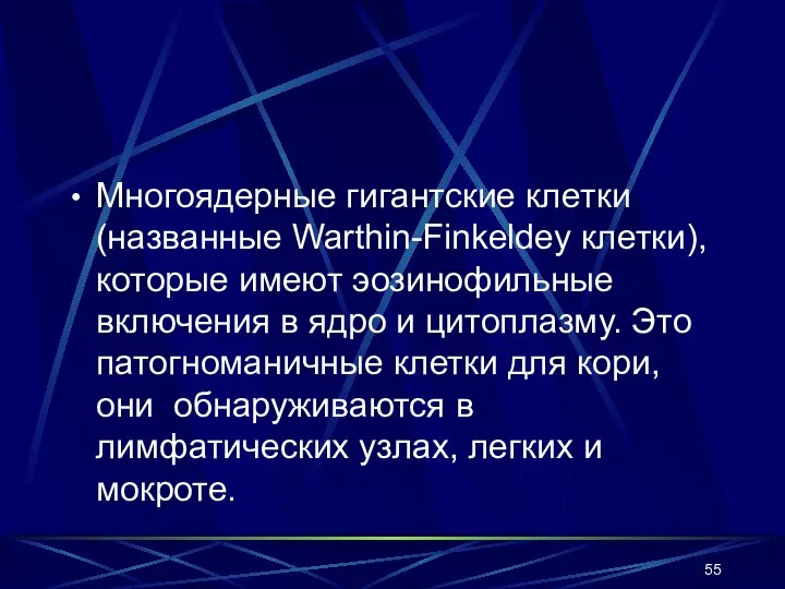 Многоядерные гигантские клетки (названные Warthin-Finkeldey клетки), которые имеют эозинофильные включения в