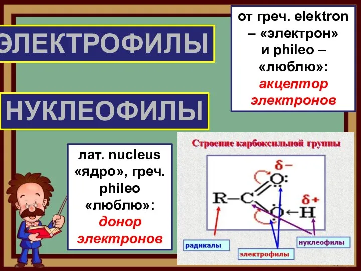 ЭЛЕКТРОФИЛЫ НУКЛЕОФИЛЫ от греч. elektron – «электрон» и phileo – «люблю»: