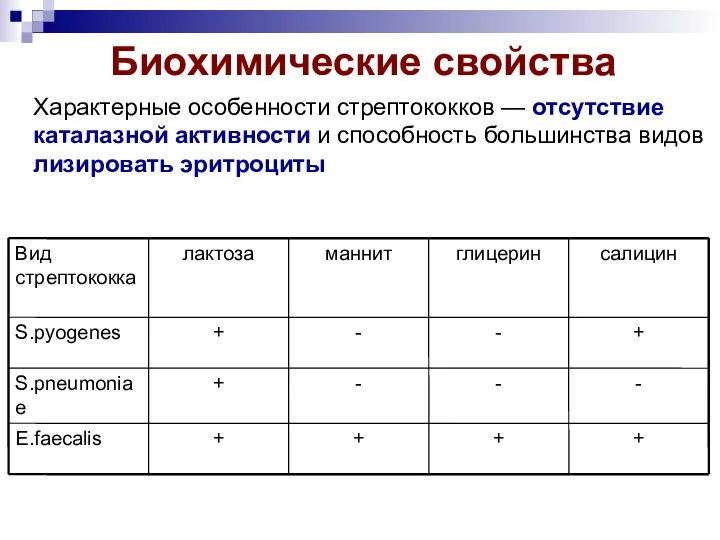 Биохимические свойства Характерные особенности стрептококков — отсутствие каталазной активности и способность большинства видов лизировать эритроциты