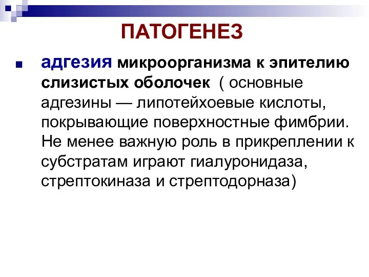 ПАТОГЕНЕЗ адгезия микроорганизма к эпителию слизистых оболочек ( основные адгезины —