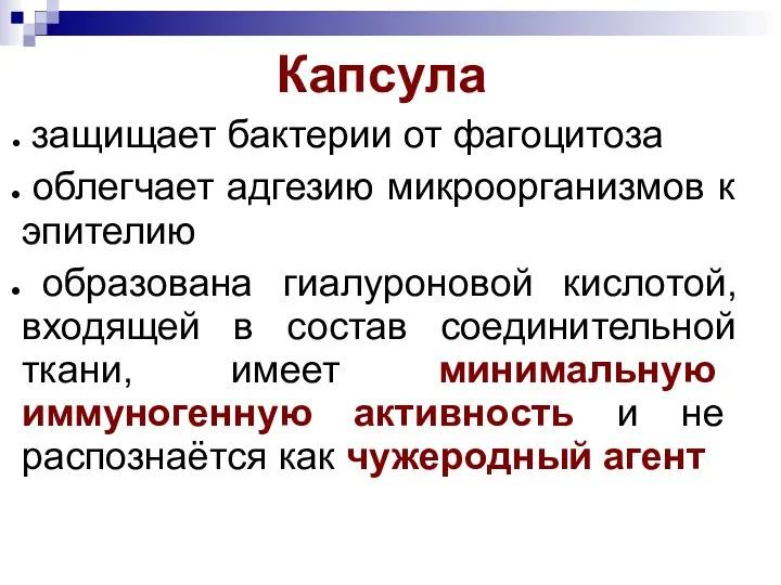 Капсула защищает бактерии от фагоцитоза облегчает адгезию микроорганизмов к эпителию образована