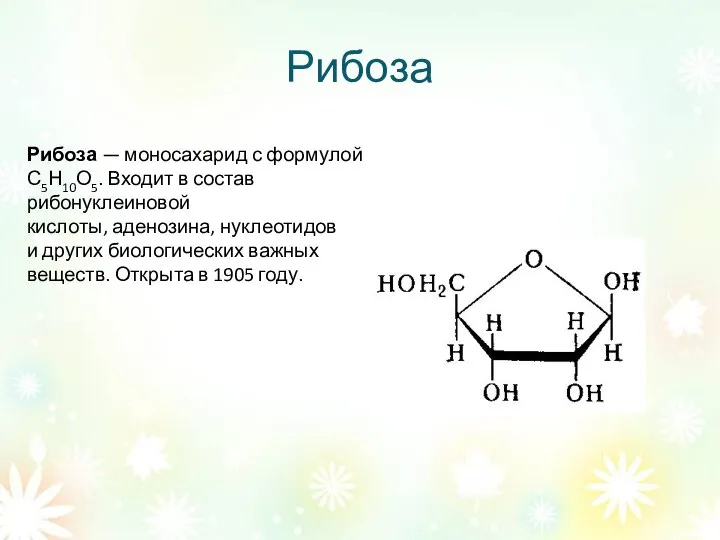 Рибоза Рибоза — моносахарид с формулой С5Н10О5. Входит в состав рибонуклеиновой