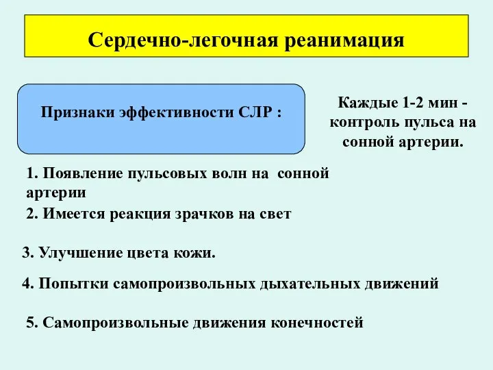 Сердечно-легочная реанимация Признаки эффективности СЛР : Каждые 1-2 мин - контроль