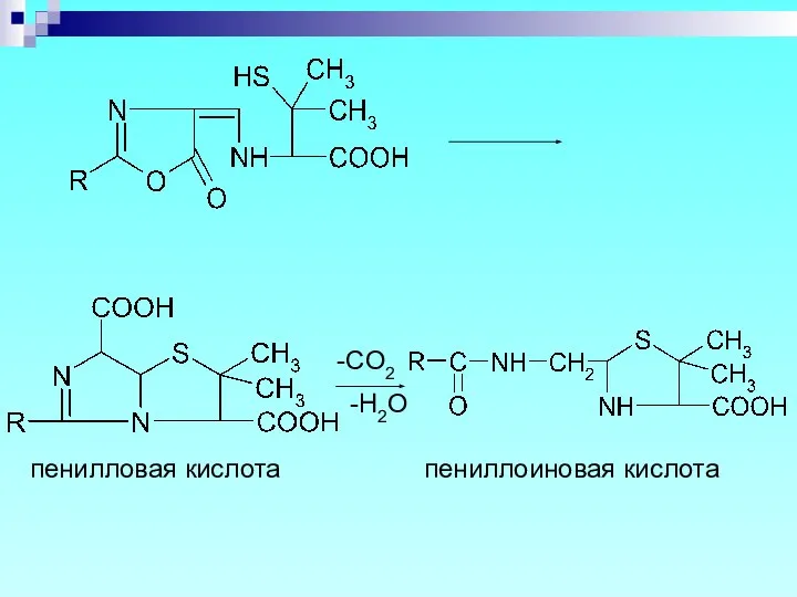 пениллоиновая кислота пенилловая кислота -CO2 -H2O