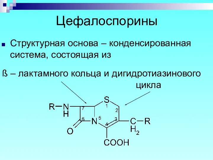 Цефалоспорины Структурная основа – конденсированная система, состоящая из ß – лактамного кольца и дигидротиазинового цикла