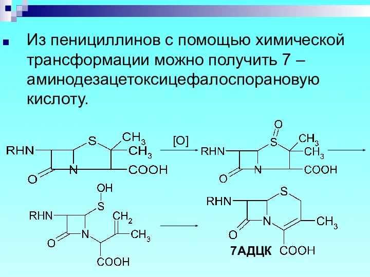 Из пенициллинов с помощью химической трансформации можно получить 7 –аминодезацетоксицефалоспорановую кислоту. [O] 7АДЦК