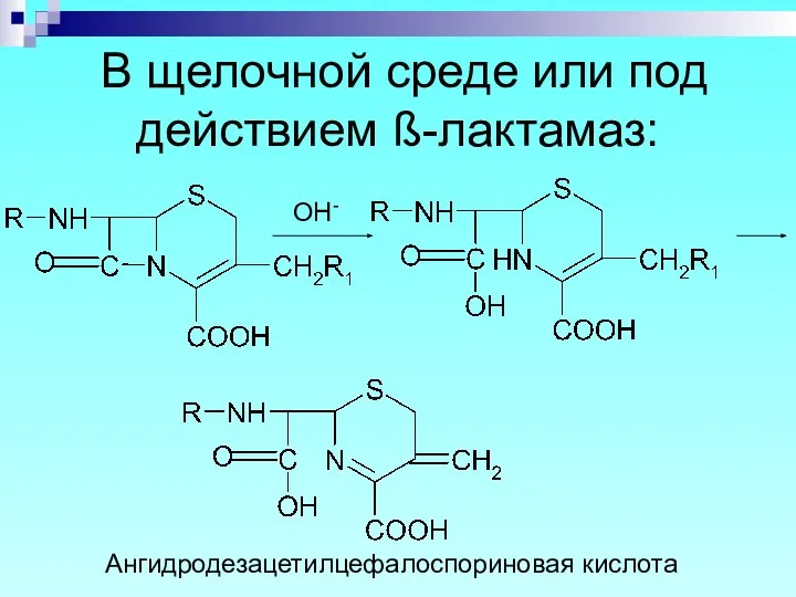 В щелочной среде или под действием ß-лактамаз: OH- Ангидродезацетилцефалоспориновая кислота