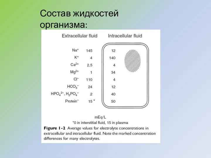 Состав жидкостей организма: