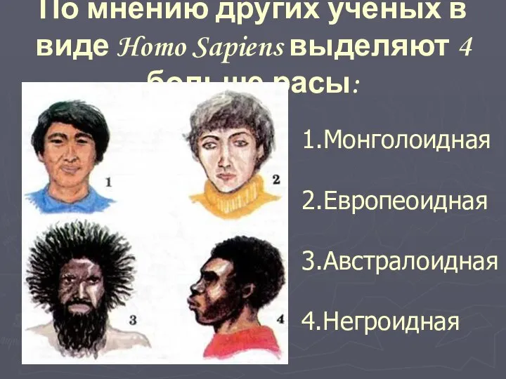 По мнению других учёных в виде Homo Sapiens выделяют 4 больше расы: 1.Монголоидная 2.Европеоидная 3.Австралоидная 4.Негроидная