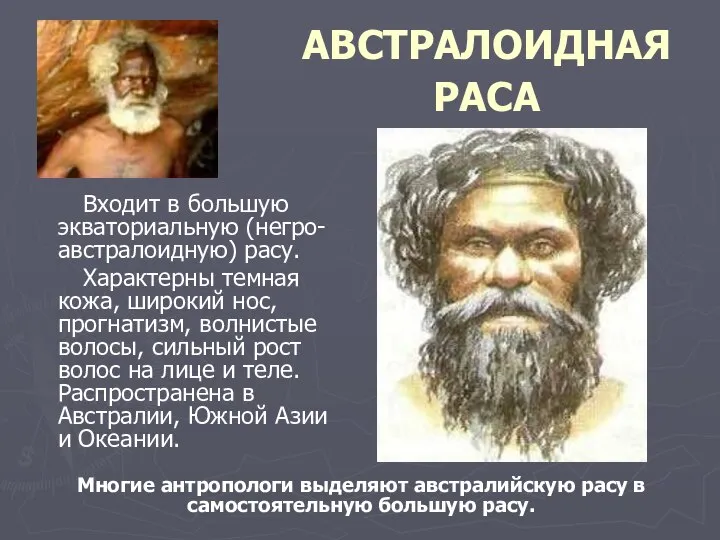 АВСТРАЛОИДНАЯ РАСА Входит в большую экваториальную (негро-австралоидную) расу. Характерны темная кожа,