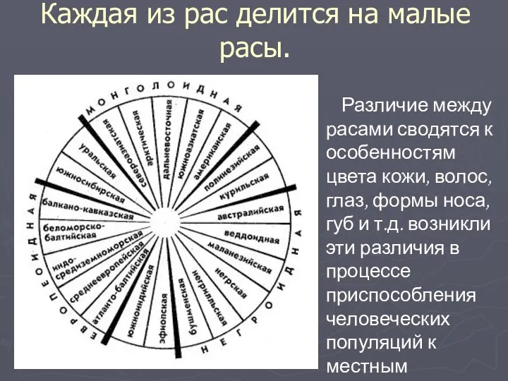 Каждая из рас делится на малые расы. Различие между расами сводятся