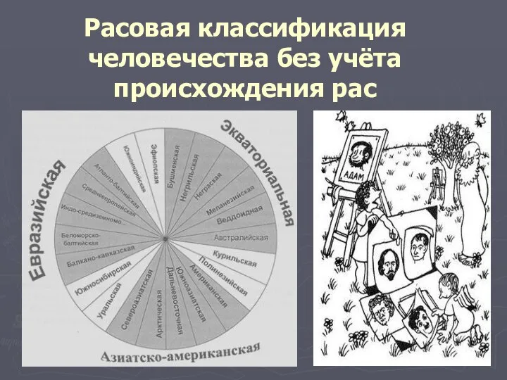 Расовая классификация человечества без учёта происхождения рас