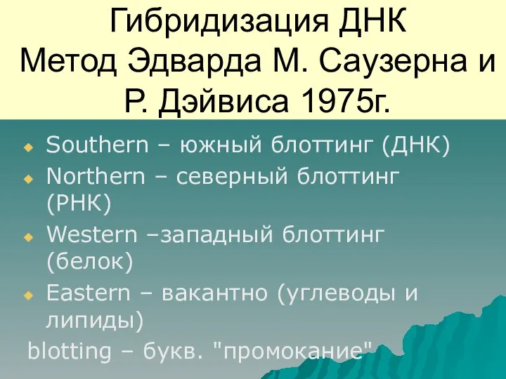 Гибридизация ДНК Метод Эдварда М. Саузерна и Р. Дэйвиса 1975г. Southern