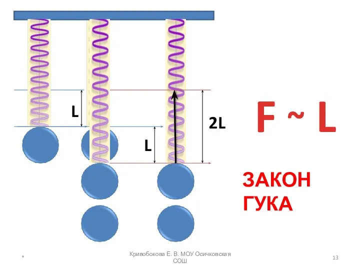 F ~ L ЗАКОН ГУКА * Кривобокова Е. В. МОУ Осичковская СОШ