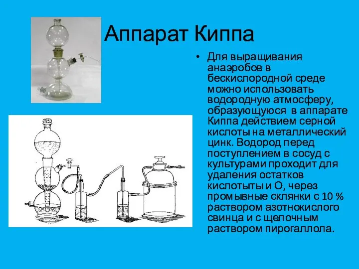 Аппарат Киппа Для выращивания анаэробов в бескислородной среде можно использовать водородную