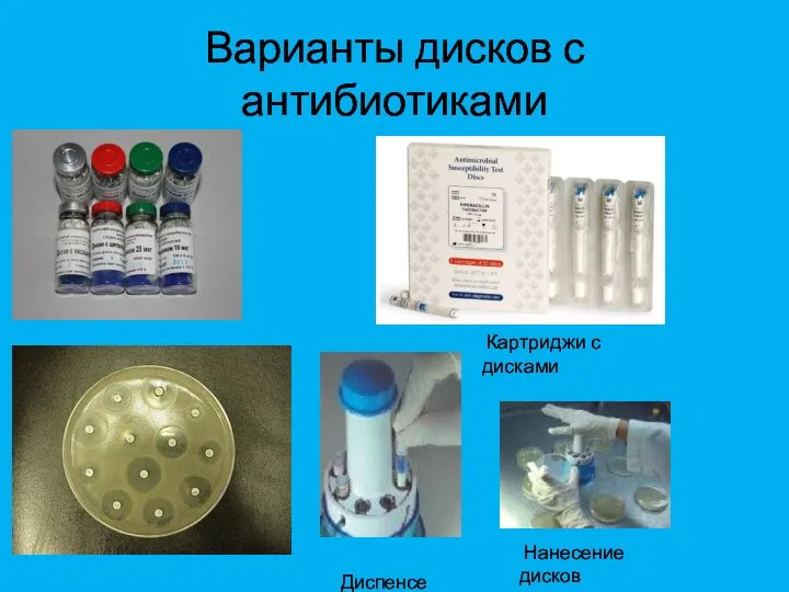 Варианты дисков с антибиотиками Диспенсер Нанесение дисков Картриджи с дисками