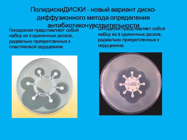 ПолидискиДИСКИ - новый вариант диско-диффузионного метода определения антибиотикочувствительности Октодиски представляет собой