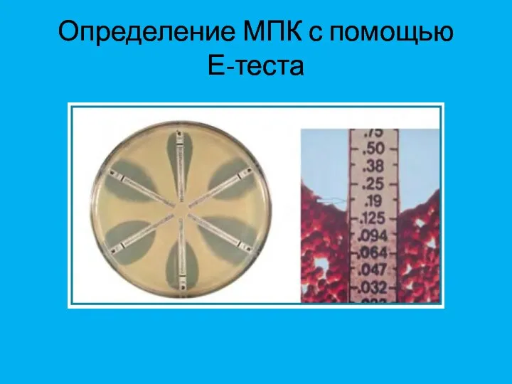 Определение МПК с помощью Е-теста