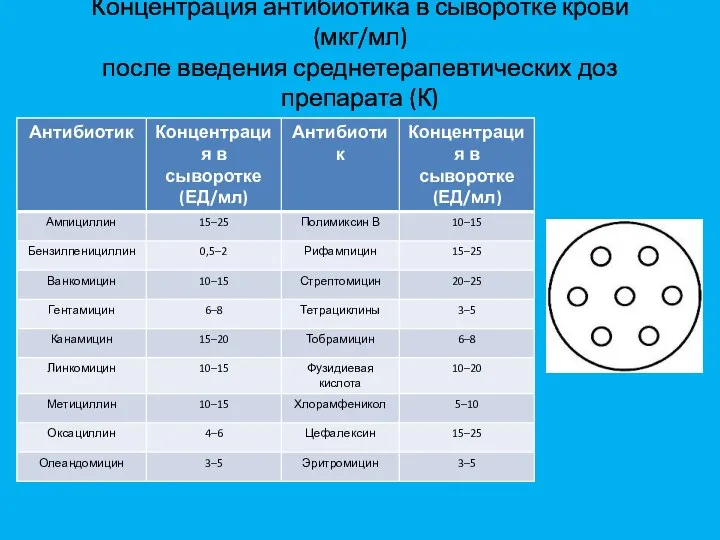 Концентрация антибиотика в сыворотке крови (мкг/мл) после введения среднетерапевтических доз препарата (К)