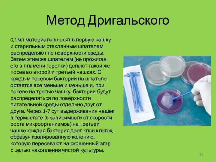 Метод Дригальского 0,1мл материала вносят в первую чашку и стерильным стеклянным